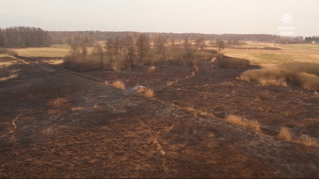 Od kilku dni nie padało, ściółka wyschnięta jest na wiór. W takich warunkach chwila nieuwagi - zaprószenie ognia, nierozważne zaparkowanie auta czy wyrzucona butelka - mogą wywołać trudny do opanowania żywioł. Niewykluczone, że leśnicy wprowadzą zakaz wstępu na najbardziej zagrożone tereny.Materiał dla "Wydarzeń" przygotowała Anna Wietrzyk.