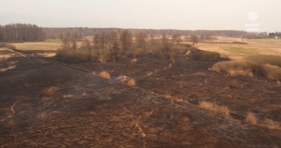 "Wydarzenia": Gwałtownie rośnie zagrożenie pożarowe w lasach
