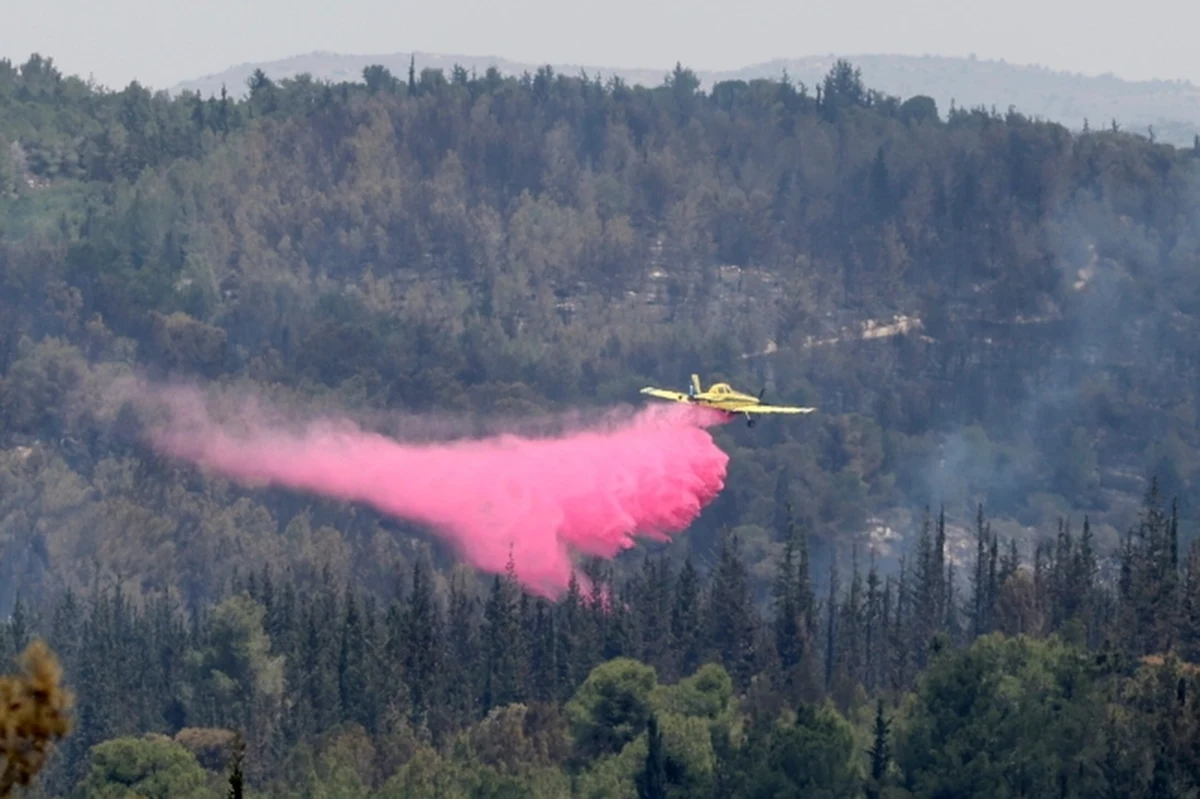 Od środy płoną lasy na zachód od Jerozolimy. Kilku tysiącom ewakuowanych mieszkańcom pozwolono dzisiaj na powrót do domów, ale z ostrzeżeniem, że ogień nie został całkowicie opanowany. Aresztowano 18 osób podejrzewanych o podpalenia, z czego jedną złapano na gorącym uczynku.