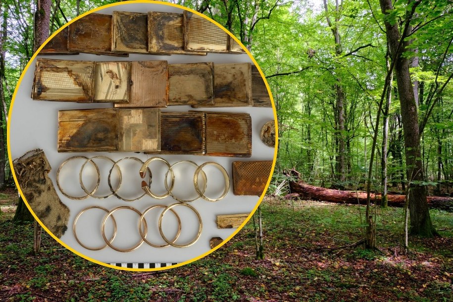 /Foto: Muzeum východních Čech v Hradci Králové/Facebook/shutterstock /