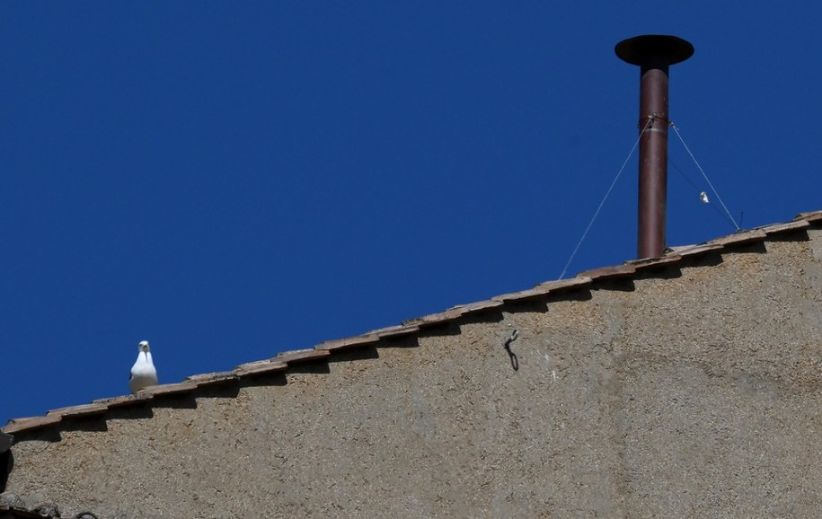 /ETTORE FERRARI /PAP/EPA