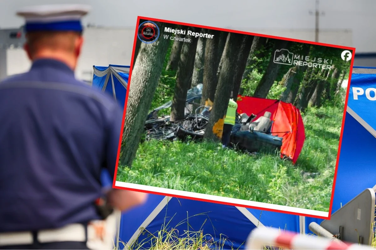 Jeden z najbogatszych Norwegów i potentat norweskiej branży rybnej Hakon Vigner Lindal Olaisen zginął w wypadku w Polsce. Zdaniem norweskich mediów samochód, którym podróżował, na drodze krajowej nr 50 między Górą Kalwarią a Kołbielą w woj. mazowieckim, wjechał w drzewo.