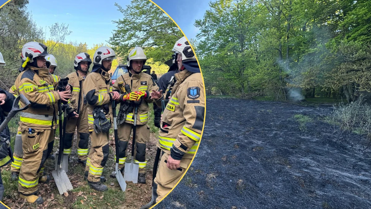 Rozległy pożar traw i lasu w województwie podkarpackim na pograniczu Polski i Słowacji. Na miejsce skierowano ponad 20 zastępów i śmigłowiec gaśniczy. Akcję utrudnia bardzo trudno dostępny teren oraz susza.