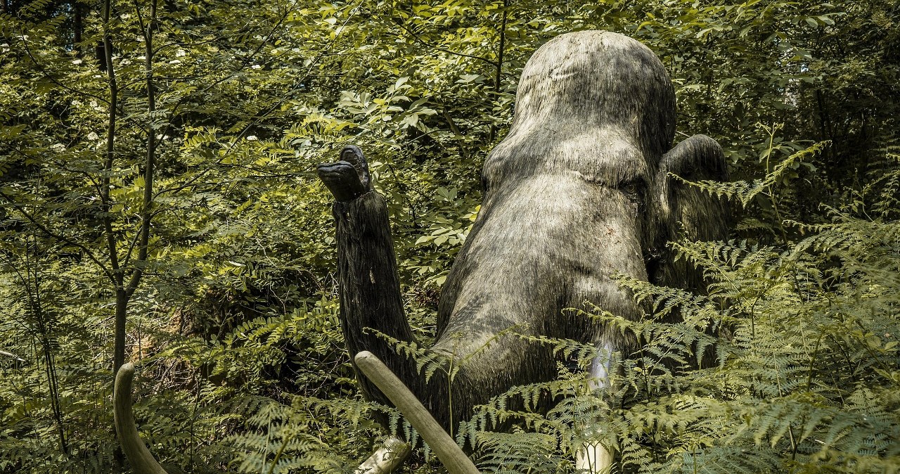 Czy grozi nam nowa pandemia? 15 państw ćwiczy na wypadek "mamuciej ospy"