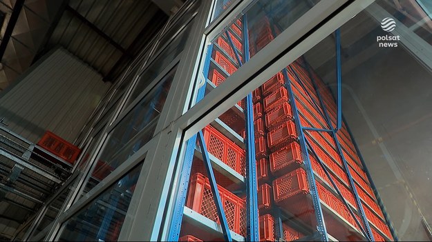 Takim systemem mogą pochwalić się jedynie trzy biblioteki w Europie, w tym, Biblioteka Śląska w Katowicach. Książki zamawia się tam elektronicznie, a po kilkunastu miniutach zbiory z magazynu na 10 piętrze przyjeżdżają specjalną windą. Wkrótce może być jeszcze szybciej, bo ten nowoczesny system będzie modernizowany. Dla ''Wydarzeń'' Anna Wietrzyk.