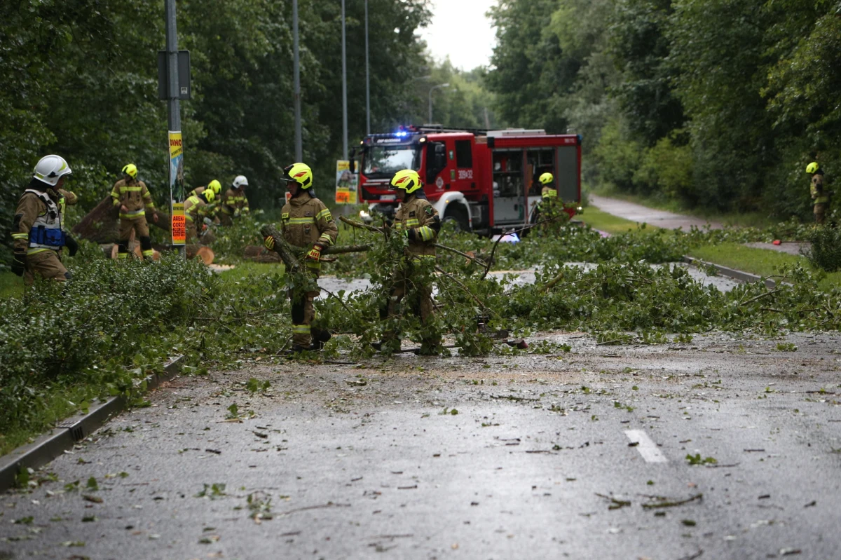 Prawie 250 razy interweniowali w sobotę strażacy w związku z burzami, które przechodziły przez Polskę. W niedzielę Instytut Meteorologii i Gospodarki Wodnej wydał alerty przed niebezpieczną pogodą dla kilku powiatów.