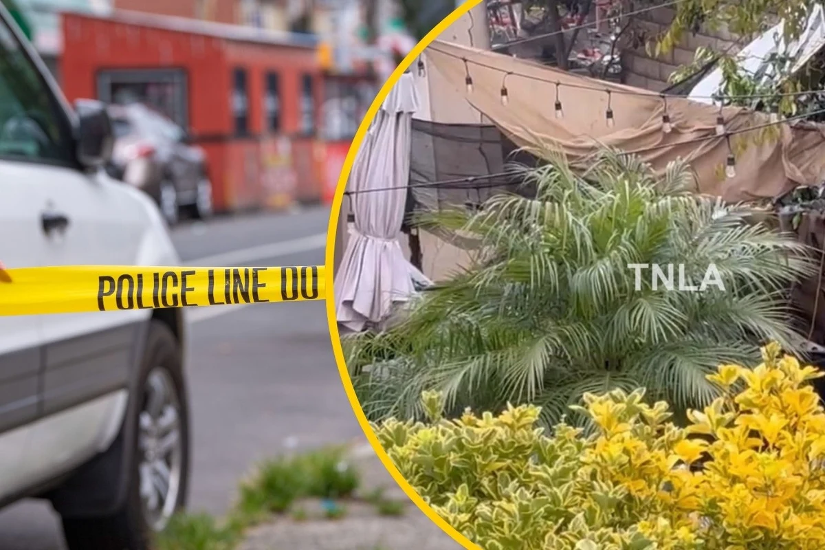 Jednosilnikowy samolot spadł na osiedle mieszkalne w kalifornijskim Simi Valley. Zginął pilot. Uszkodzone zostały budynki mieszkalne.