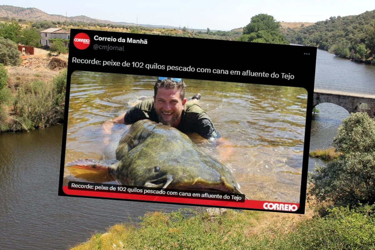 Pochodzący z Francji pasjonat wędkowania złowił w pobliżu miasta Castelo Branco we wschodniej Portugalii suma pospolitego o wadze 102 kg. Ryba ta uchodzi na Półwyspie Iberyjskim za gatunek inwazyjny.