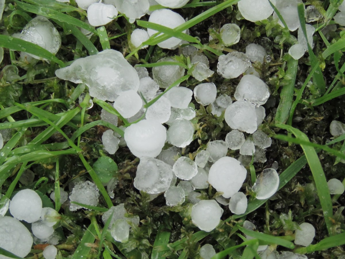 Skutki nawałnicy w Łódzkiem. Kule gradowe podziurawiły dachy