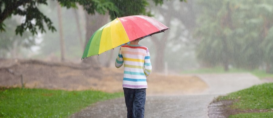 Wysoka temperatura w maju jak na razie już za nami. Najbliższy tydzień będzie znacznie chłodniejszy i pochmurny. Temperatura w dzień nie będzie przekraczać kilkunastu stopni Celsjusza. Noce z przymrozkami nawet do minus 5 stopni. Przedstawiamy prognozę pogody na 5-11 maja.
