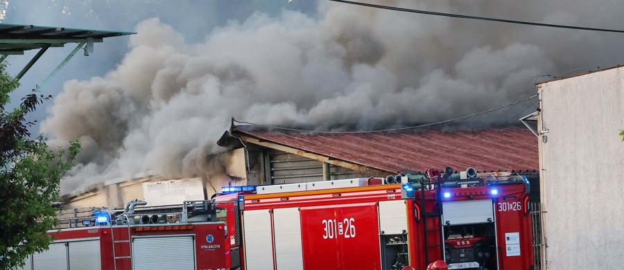 Pożar i silne eksplozje. Spłonęło składowisko drewnianych palet przy ul. Starorudzkiej w Łodzi. Reporterka RMF FM informuje o przypuszczalnej przyczynie niedzielnego pożaru.