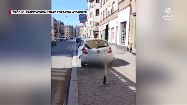 Tysiące pszczół w centrum Zabrza. Rój pojawił się też w Katowicach. Wyglądało to jak inwazja, ale zjawisko jest  normalne i krótkotrwałe  Warto jednak wiedzieć, jak się zachować kiedy natrafimy na taki rój. Dla ''Wydarzeń'' Bartosz Mokrzycki.