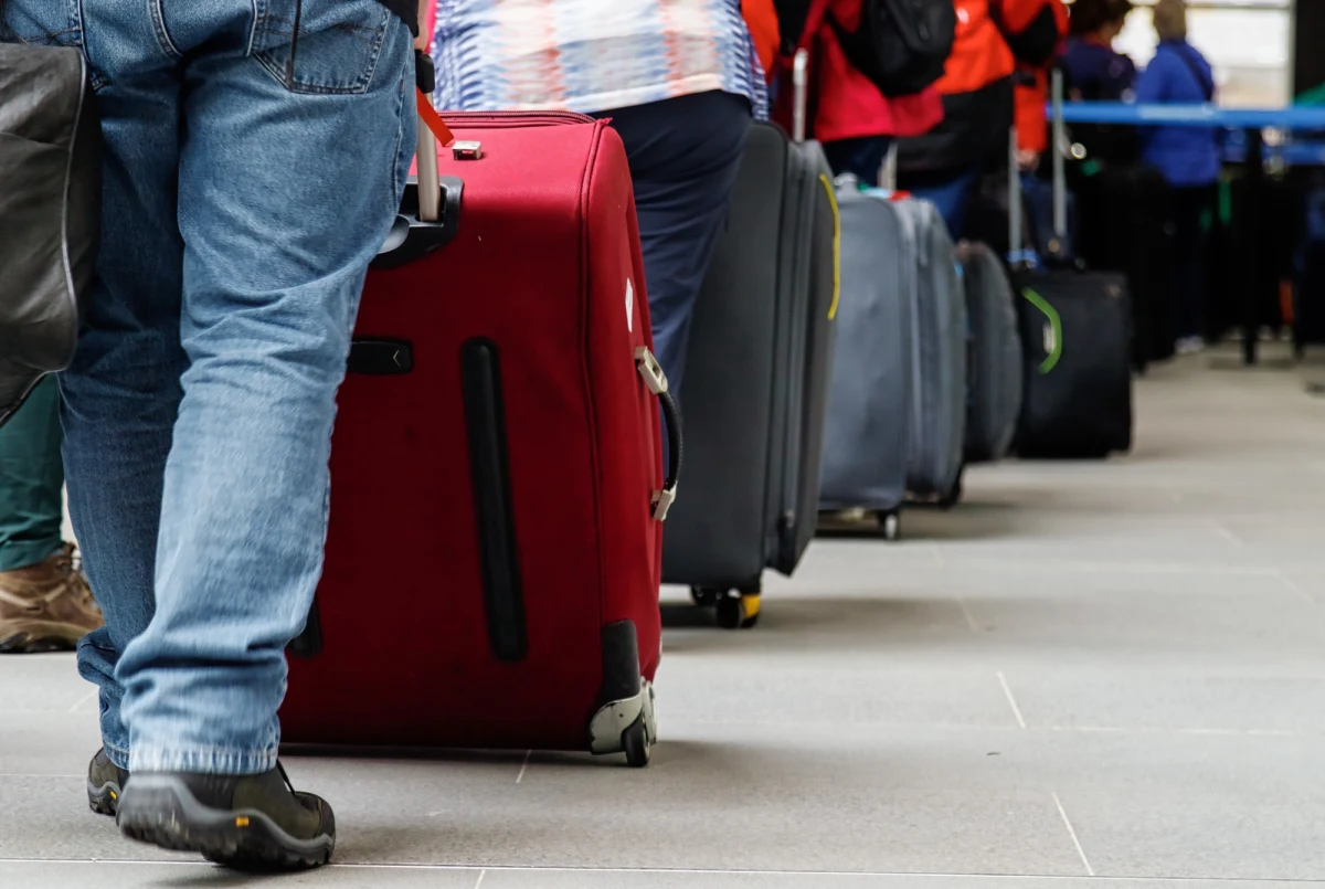 Na lotnisku w stolicy Brazylii policjanci uniemożliwili próbę przemytu 270 dzikich ptaków. Ptaki, które znaleziono w bagażu, były przewożone w bardzo trudnych warunkach, co doprowadziło do śmierci co najmniej trzech z nich.