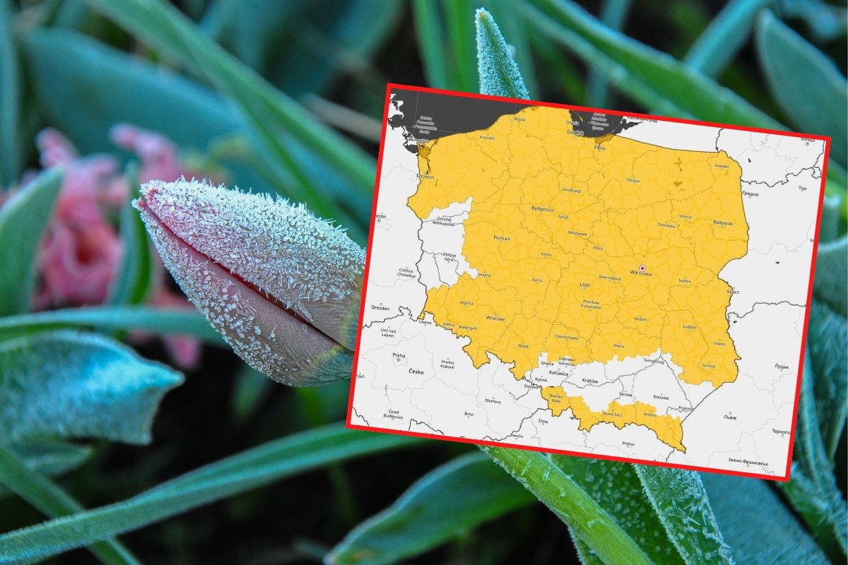 Mroźny atak na Polskę. Złe wieści od synoptyków