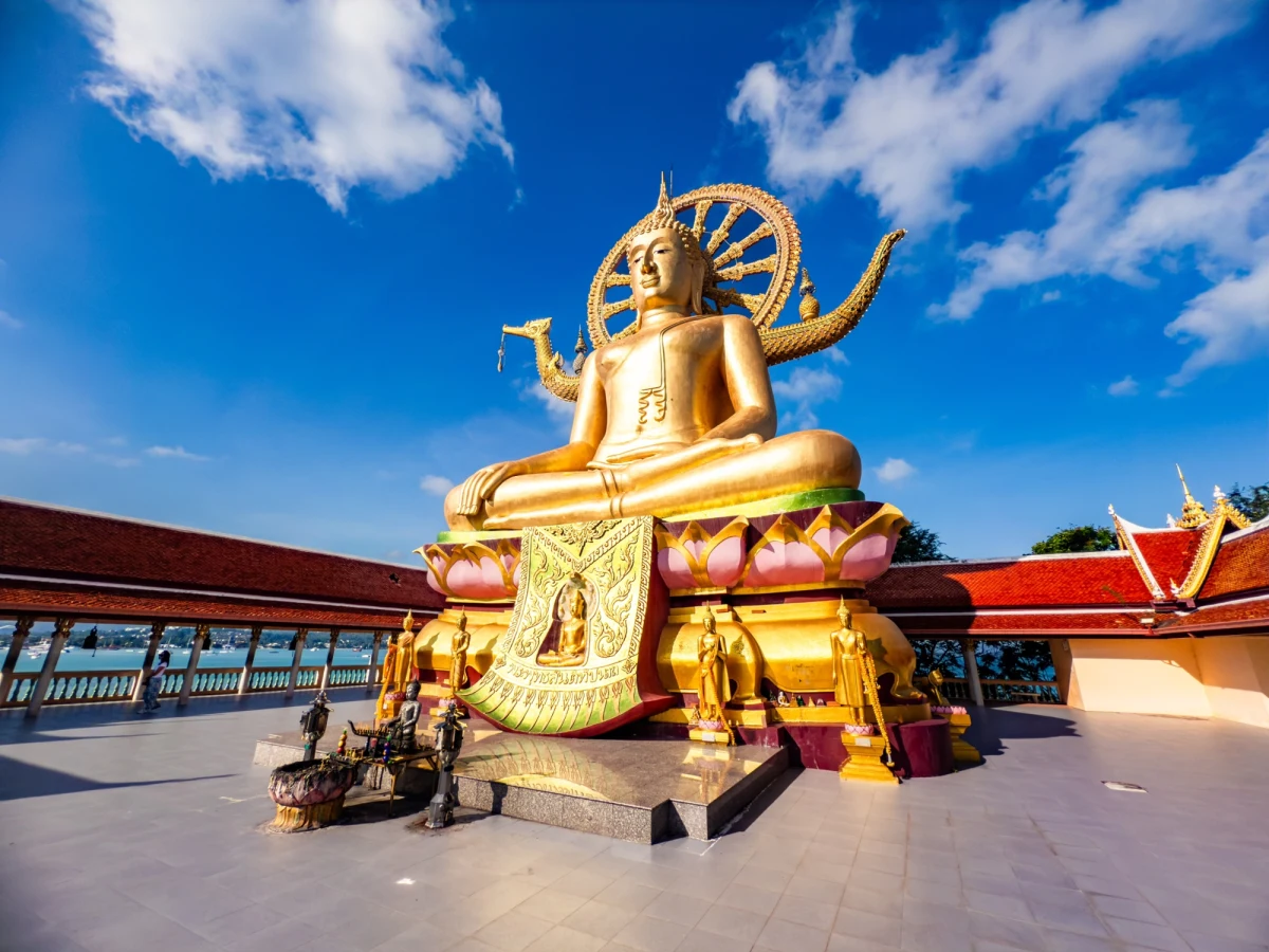 Indyjskie ministerstwo kultury zagroziło podjęciem kroków prawnych przeciwko domowi aukcyjnemu Sotheby's w Hongkongu, jeżeli nie zostanie wstrzymana aukcja klejnotów związanych z relikwiami Buddy. Rząd Indii domaga się zwrotu tych cennych przedmiotów, a sprawa wywołała międzynarodowe kontrowersje.