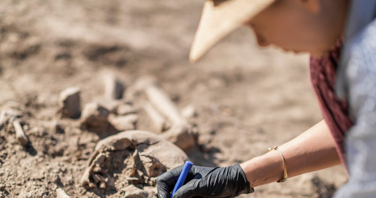 Badają odkrycie z Grecji. Terakotowa "armia" figurek