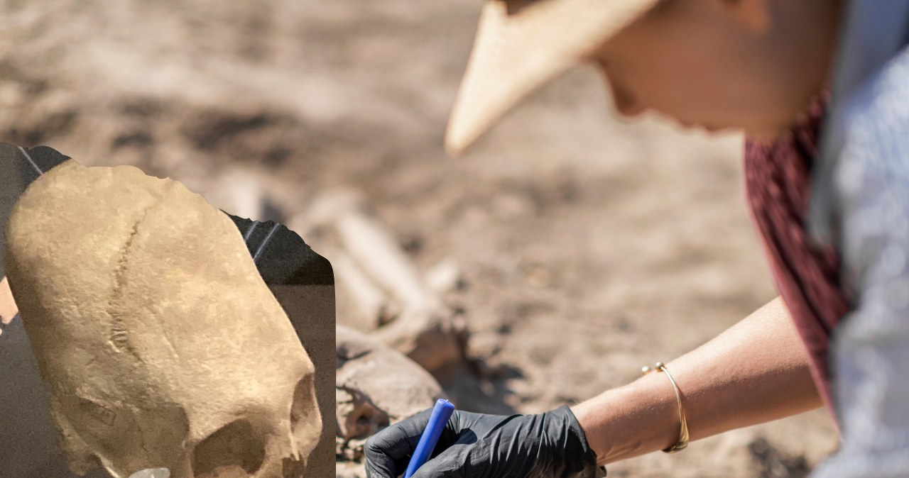 Dziwnie wydłużone czaszki odkryte w Europie. Rekordowy zbiór