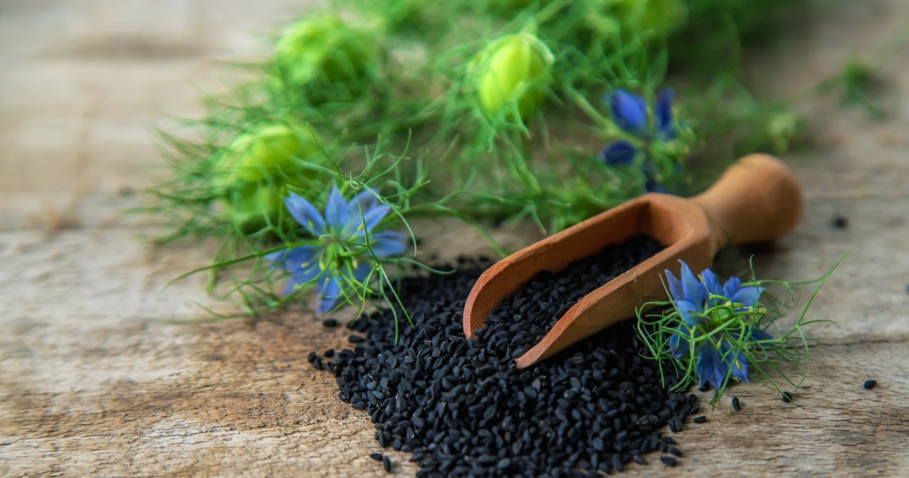 Określany mianem "złota faraonów". adekwatności, zastosowanie i cena czarnuszki