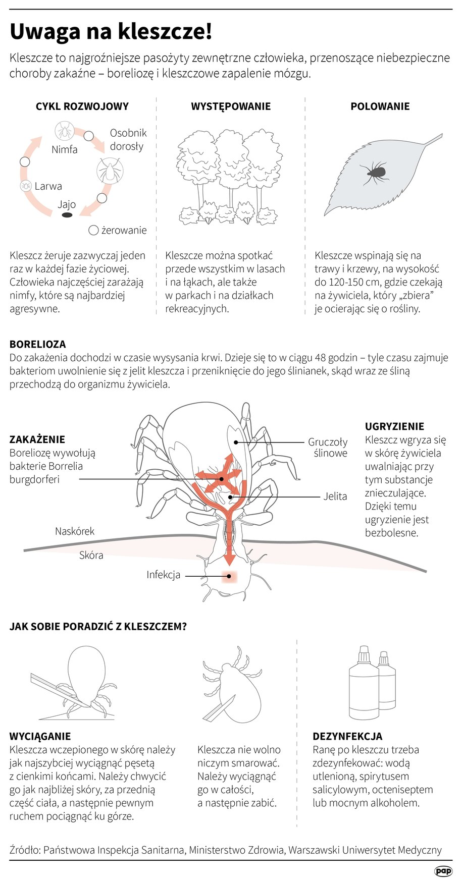 /Maria Samczuk, Adam Ziemienowicz /PAP
