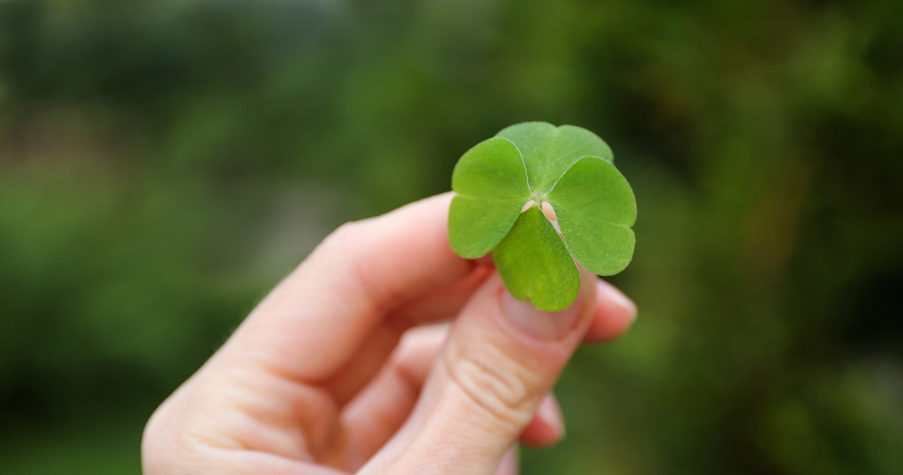 Te znaki zodiaku będę mieć szczęście w weekend. Los będzie dla nich szczególnie hojny