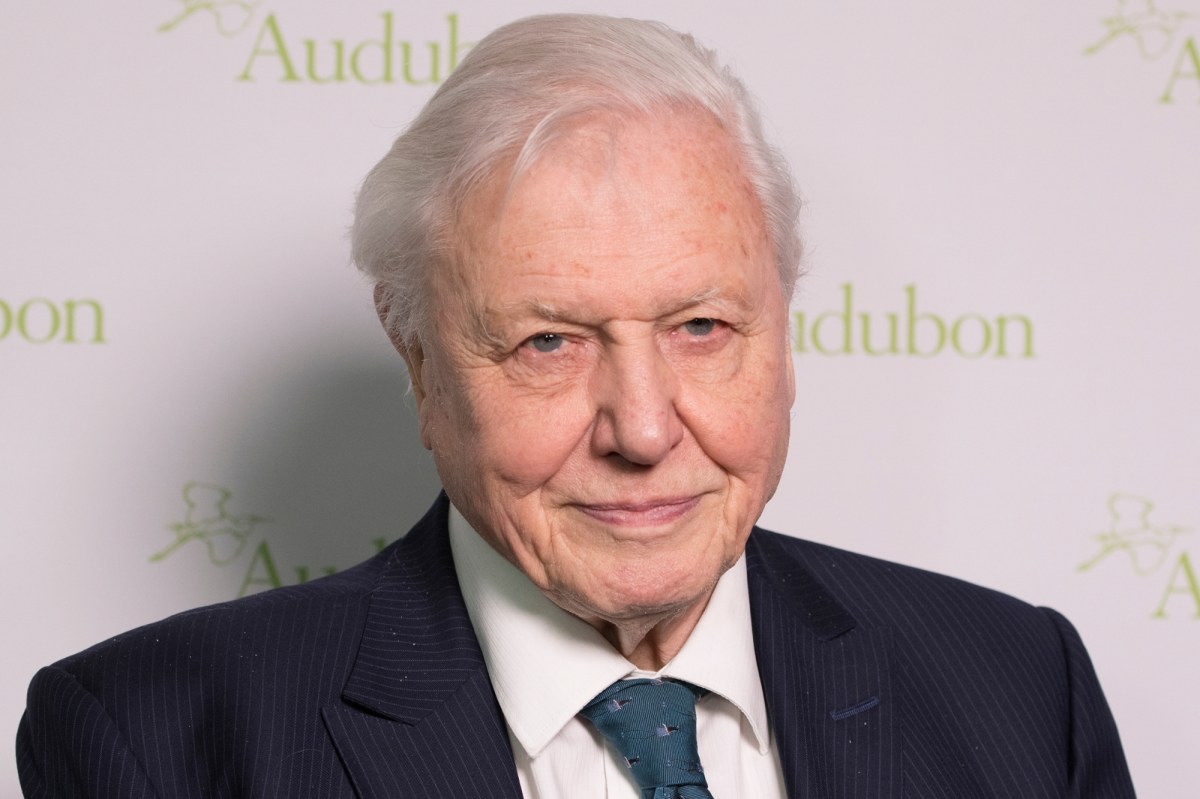 David Attenborough ostrzega w dniu 99. urodzin: Czas prawie dobiegł końca