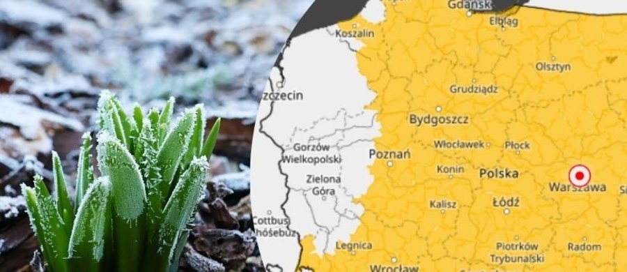 Instytut Meteorologii i Gospodarki Wodnej ostrzega - przymrozki do minus 8 st. C przy gruncie wystąpią w przeważającej części kraju z wyjątkiem północno-zachodniej Polski. Ostrzeżenie dotyczy najbliższej nocy, ale może być kontynuowane w kolejnych.