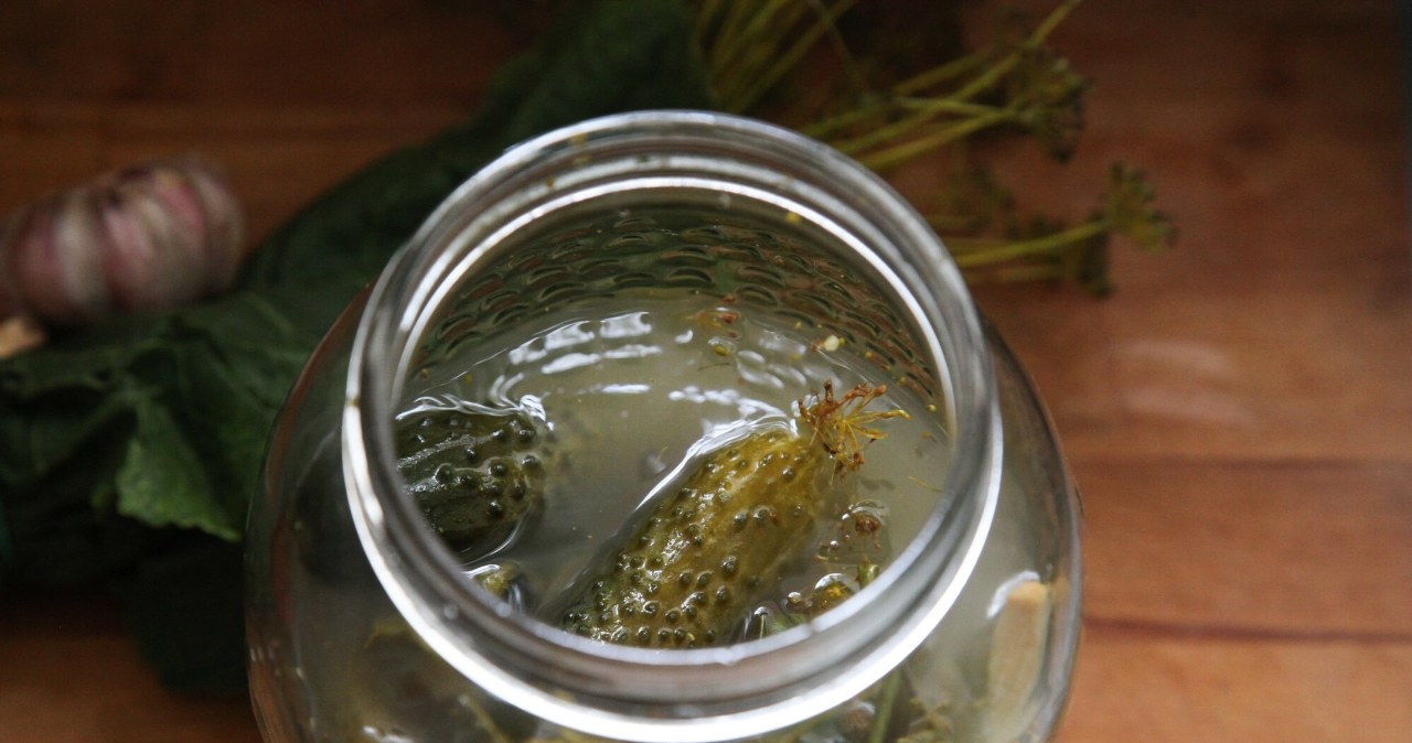 Zasada 3x1 – sekret najlepszych ogórków małosolnych odkryty