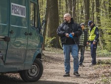 Sprawiedliwi - Wydział Kryminalny
