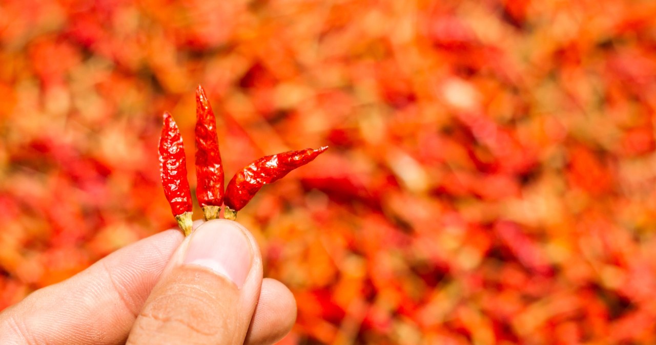 Wysoki cholesterol? Ta przyprawa pomoże ci uniknąć chorób serca!