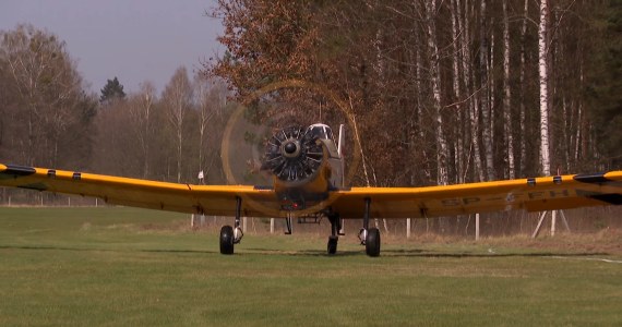 Samoloty chronią polskie lasy przed pożarami