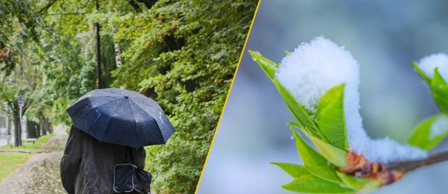 Synoptycy nie mają dobrych wieści. W weekend czeka nas nieco więcej chmur, przelotne opady, miejscami burze oraz chłodne noce z przymrozkami. W górach spodziewane są opady śniegu. Od nowego tygodnia zacznie robić się nieco cieplej. W drugiej połowie tygodnia być może na termometrach zobaczymy 20 stopni.