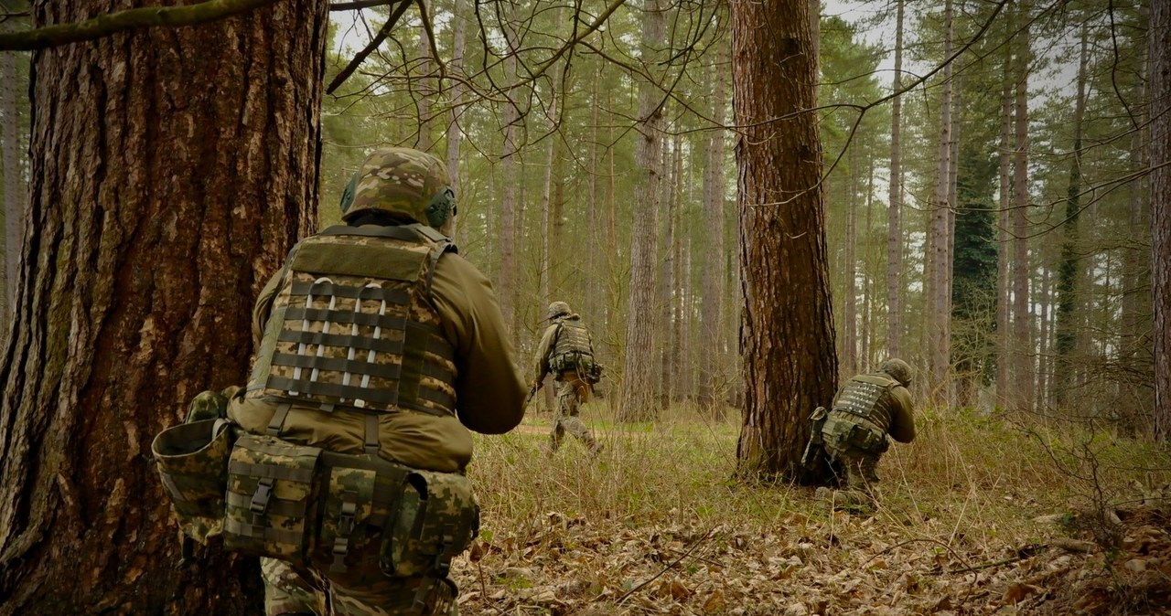 Ukraina gotowa na zawieszenie broni. Podano datę