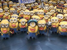 Gru, Dru i minionki