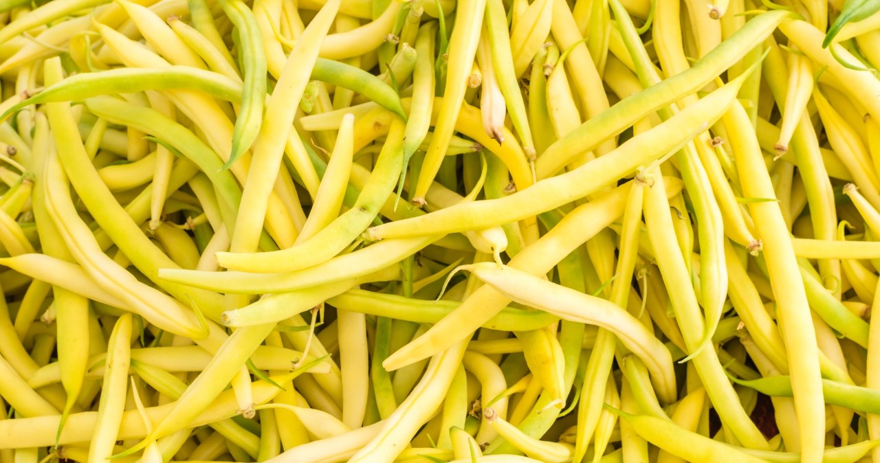 Jesz z bułką tartą albo dodajesz do zupy. Wspiera odchudzanie, jelita, kości i serce