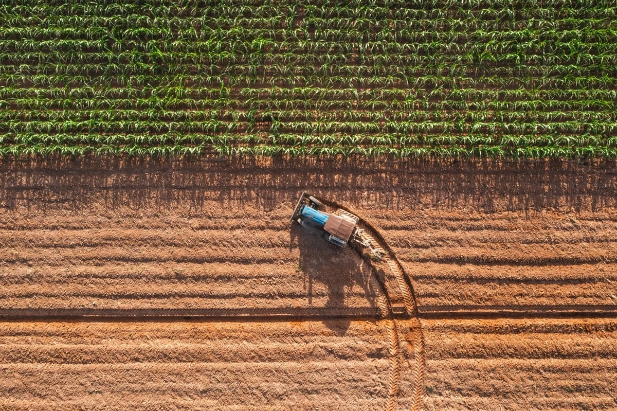 2,5 promila alkoholu w organizmie miał traktorzysta, którego zatrzymali w miniony weekend policjanci w miejscowości Milejewo (woj. warmińsko-mazurskie). To nie koniec, lista zarzutów wobec 48-latka jest długa niczym pasek rozrządu.