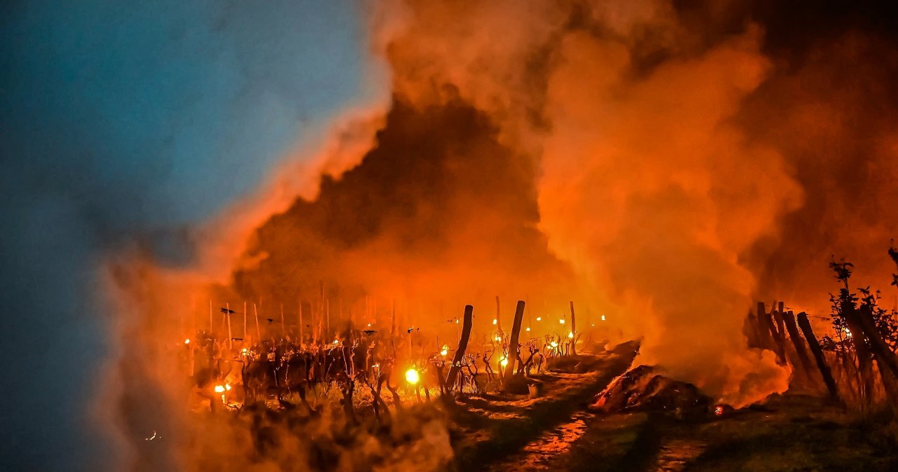 Zimni ogrodnicy opanują kraj. Wydano nowe alerty pogodowe
