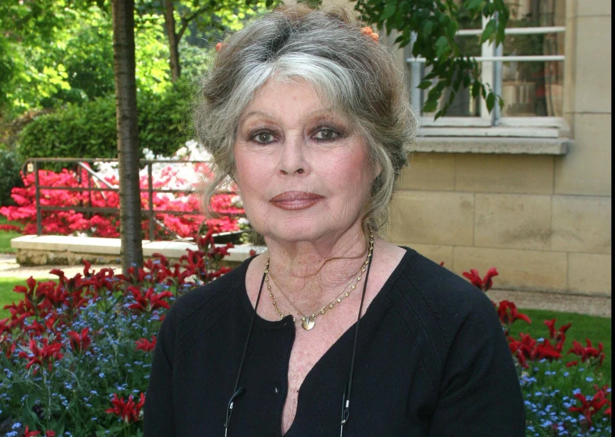 To był pierwszy telewizyjny wywiad Brigitte Bardot od 11 lat. Padły w nim zaskakujące słowa. Dawna filmowa gwiazda stwierdziła, że popiera dwóch aktorów oskarżonych o napaści seksualne: Gerarda Depardieu i Nicolasa Bedosa.