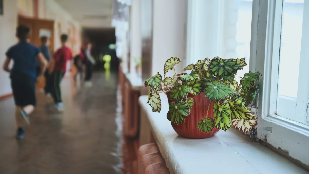 Ministerstwo Edukacji Narodowej opublikowało kalendarz szkolny na rok 2025/26. Wynika z niego między innymi, że zajęcia dydaktyczno-wychowawcze rozpoczną się 1 września 2025 r. w poniedziałek, a zakończą w piątek, 26 czerwca 2026. Sprawdź inne ważne terminy. 