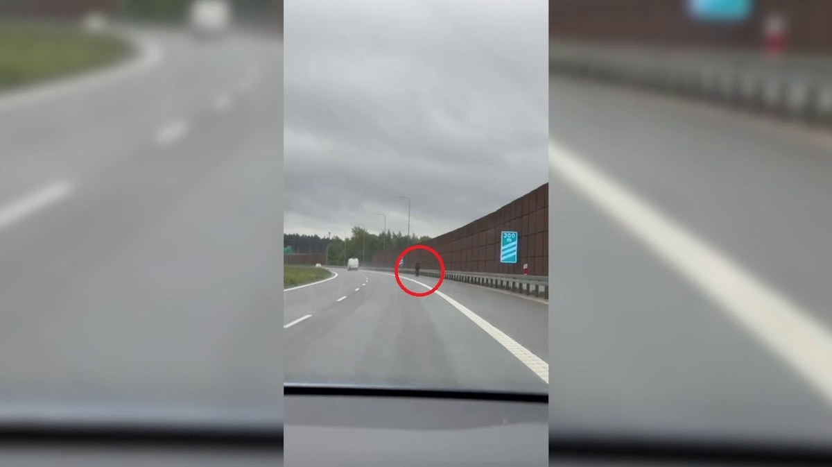 Pewne historie ciężko zrozumieć. Tak można skomentować "spacer" 49-latka, który postanowił przejść z Tarczyna do Warszawy drogą ekspresową. Mężczyzna został zatrzymany przez policję. W swoim zachowaniu nie widział nic niestosownego. Co więcej, dziwił się, że dostał mandat. 
