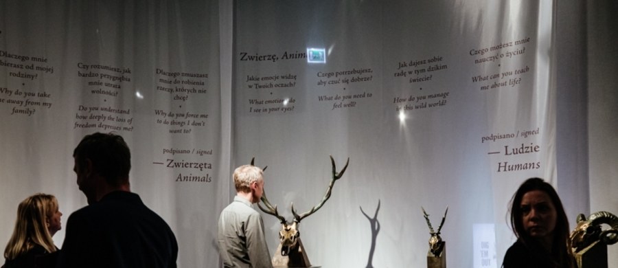 "To wystawa, która ma nam przybliżyć losy zwierząt i przywrócić ich historię w szerszych kontekstach" - mówi RMF FM Monika Krzencessa, jedna z kuratorek wystawy czasowej "FAUNA. Zwierzęta na wojnie i ich ludzie", którą można oglądać w Muzeum II Wojny Światowej w Gdańsku. "Chcieliśmy oddać pełną reprezentację zwierząt wojennych" – dodaje Marek Zambrzycki, kurator wystawy.