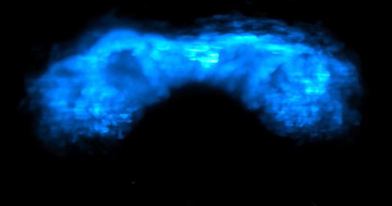 Tak formuje się serce. Uchwycili to po raz pierwszy