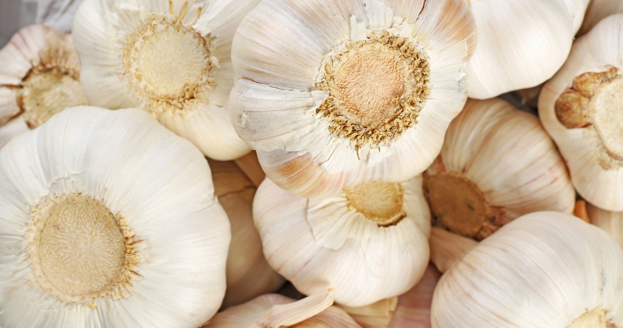 Czosnek nową alternatywą dla popularnych płynów do płukania ust