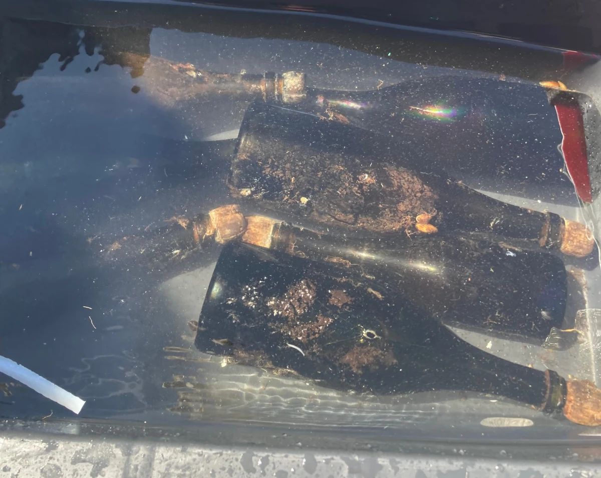 Szwedzki archeolog państwowy Magnus Petersson ocenił zawartość jednej z 100 butelek carskiego szampana, który latem ubiegłego roku odkryli Polacy na południe od wyspy Olandia. "Ma owocowy smak z wyraźną nutą starego, zapuszczonego strychu" - stwierdził. 