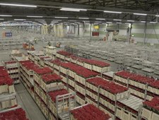Podniebne cargo