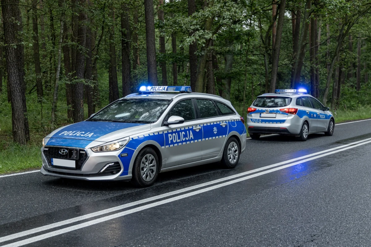 11-latka ze Strzelec Opolskich została odnaleziona. Dziewczynka była na terenie Śląska; jest cała i zdrowia - przekazała w rozmowie z RMF FM policja.

