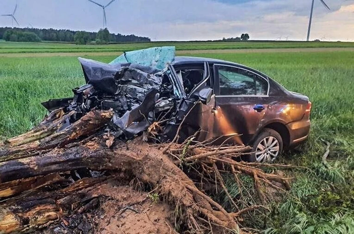 28-latek nie żyje po tym, jak - jadąc drogą powiatową - z impetem uderzył w drzewo. Siła uderzenia była tak duża, że drzewo zostało wyrwane z korzeniami. Do tragedii doszło w miejscowości Michowice w Łódzkiem.