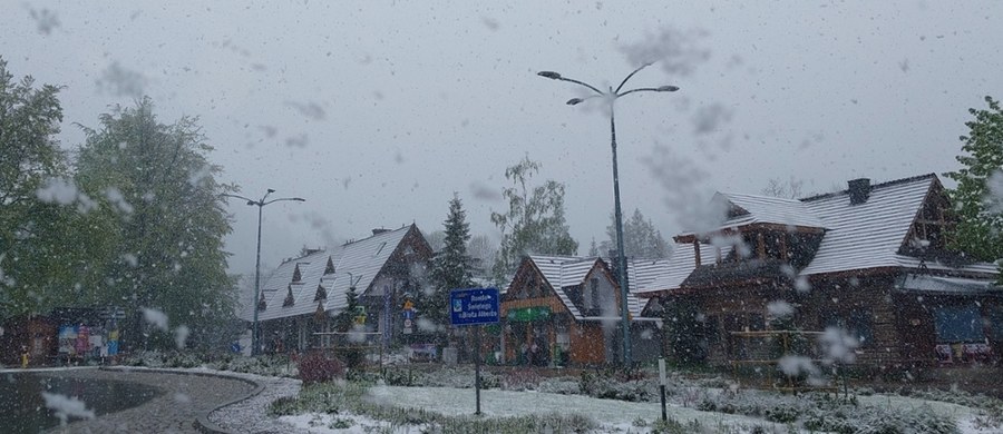 Zima wróciła w Tatry. Śnieg sypie nie tylko wysoko w górach, ale także w samym Zakopanem. Jak prognozują synoptycy, przez weekend może spaść nawet kilkadziesiąt centymetrów białego puchu.