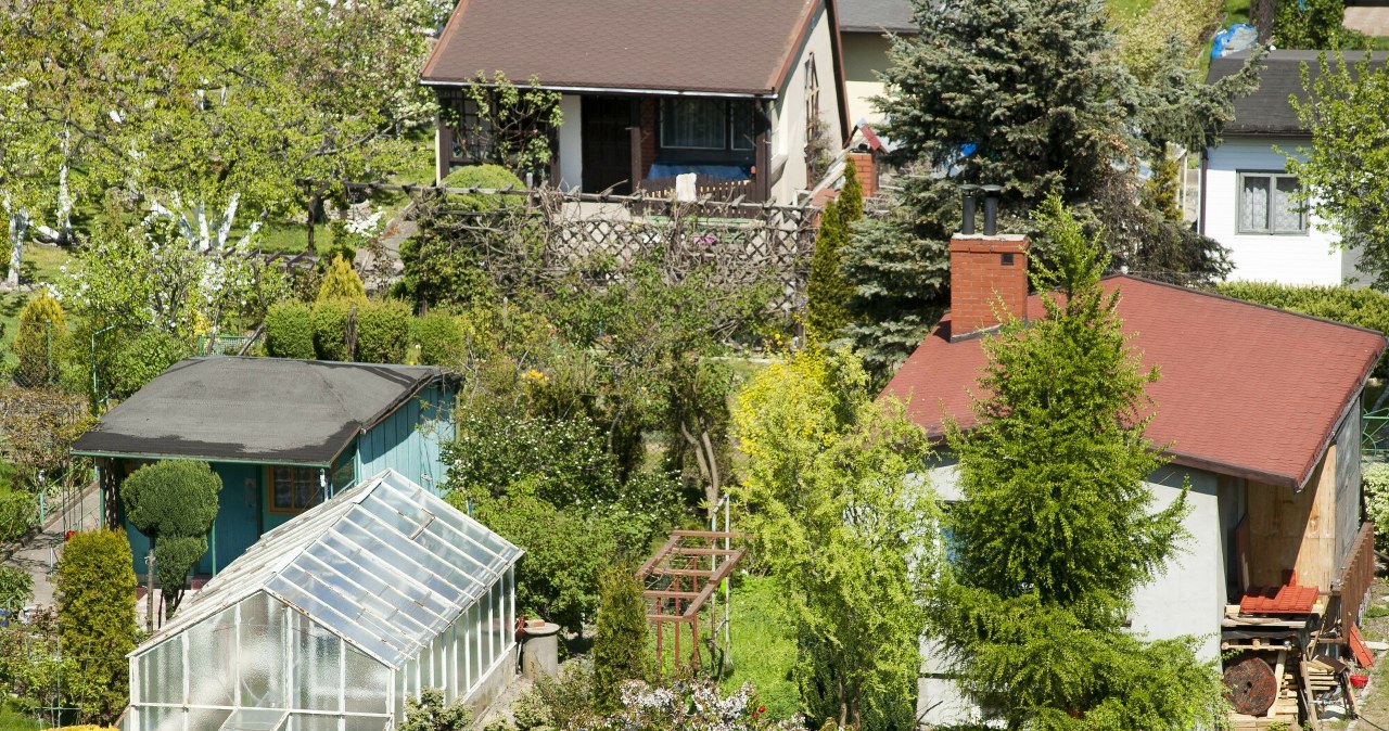 Działkowicze nie zwracają na to uwagi. To jeden z najczęstszych powodów kar