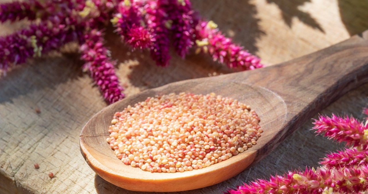 Zajadaj na diecie. Łatwiej pozbędziesz się kilogramów i oponki