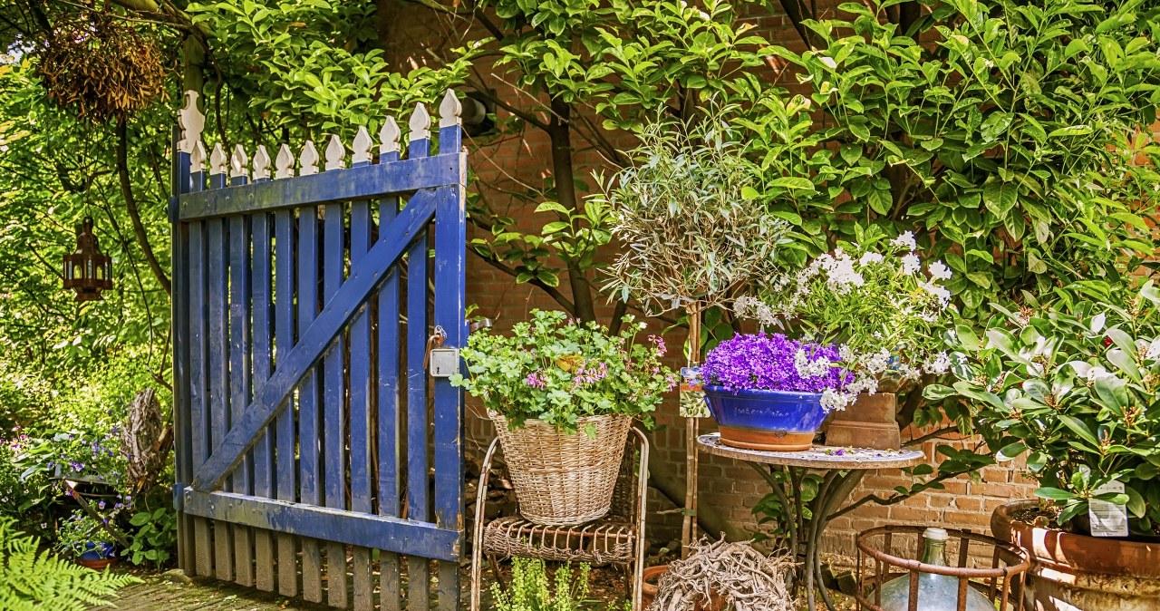 Jak urządzić ogród w stylu prowansalskim? Kluczem są rośliny i dodatki